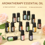 Water-Soluble Aroma Oils (Everyday Collection) – 10ml Fragrance for Humidifiers & Diffusers | Jasmine, Lily, Mint & More