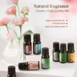 Water-Soluble Aroma Oils (Everyday Collection) – 10ml Fragrance for Humidifiers & Diffusers | Jasmine, Lily, Mint & More