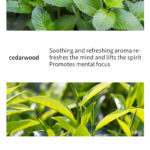 Natural Single Essential Oils – 10ml Aromatherapy Collection for Diffusers & Massage, Multiple Scents