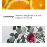 Natural Single Essential Oils – 10ml Aromatherapy Collection for Diffusers & Massage, Multiple Scents