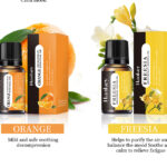 Water-Soluble Aroma Oils (Everyday Collection) – 10ml Fragrance for Humidifiers & Diffusers | Jasmine, Lily, Mint & More