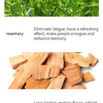 Natural Single Essential Oils – 10ml Aromatherapy Collection for Diffusers & Massage, Multiple Scents