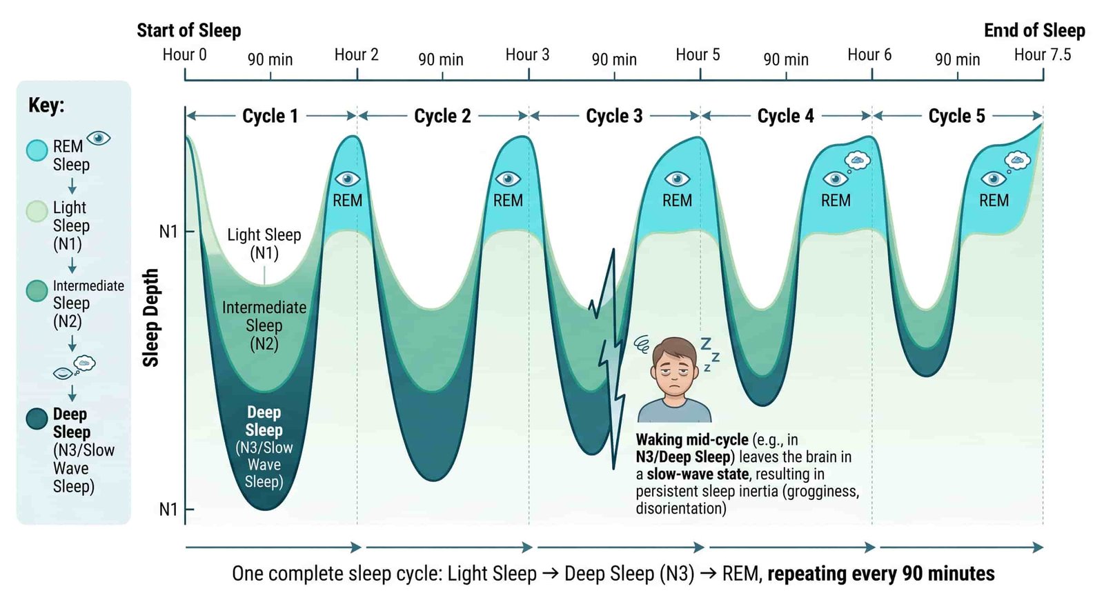 A frustrated person hitting the snooze button on an alarm clock, experiencing severe sleep inertia