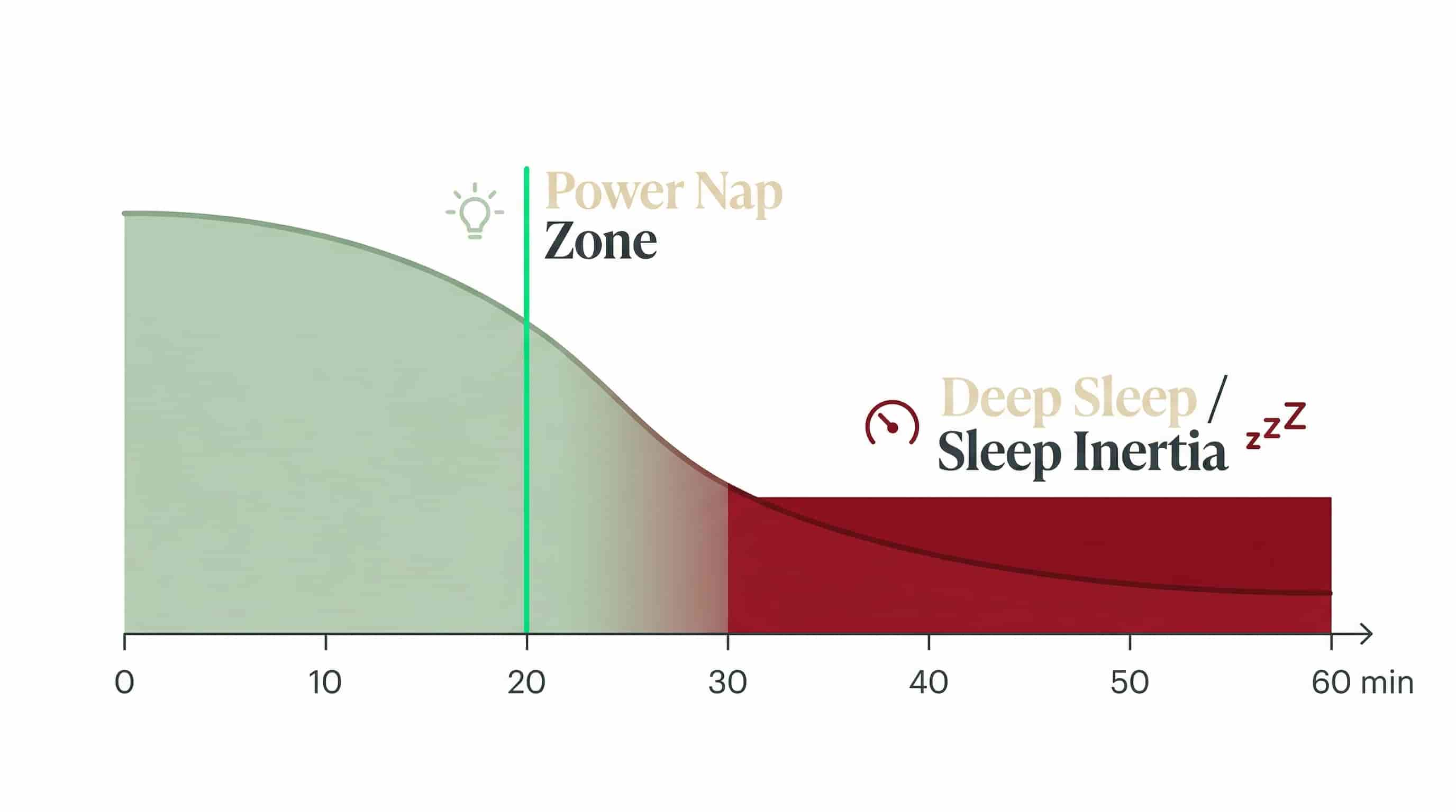 Chart showing the sleep cycle and the 20-minute limit for power naps