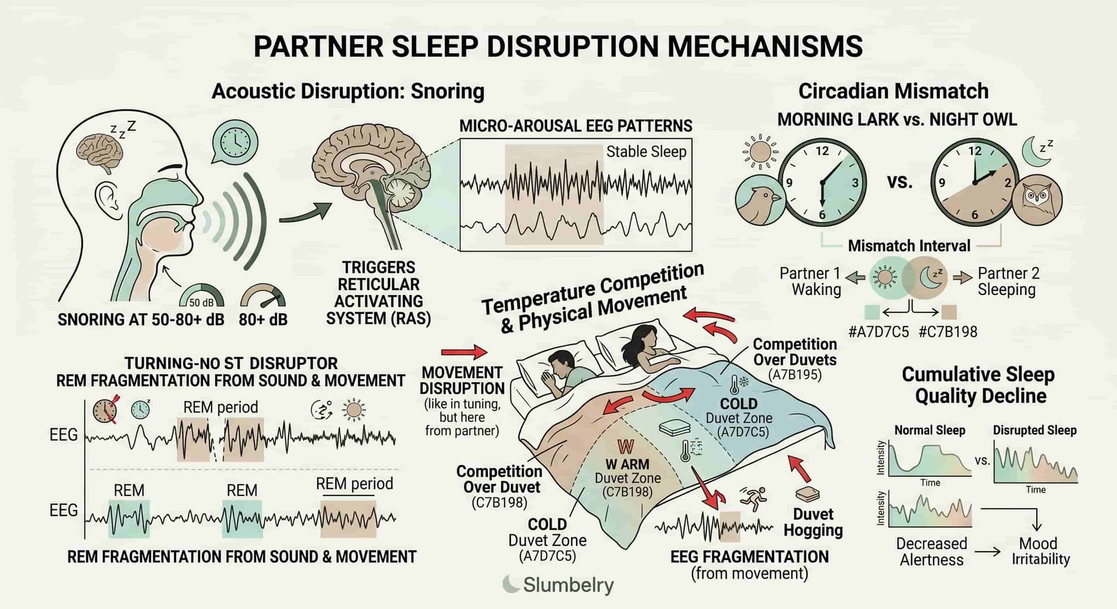 Scientific infographic: partner sleep disruption mechanisms — annotated diagram showing snoring at 50-80+ dB triggering the reticular activating system, micro-arousal EEG patterns, REM fragmentation from sound and movement, temperature competition over duvets, circadian mismatch between morning larks and night owls, clean white medical illustration