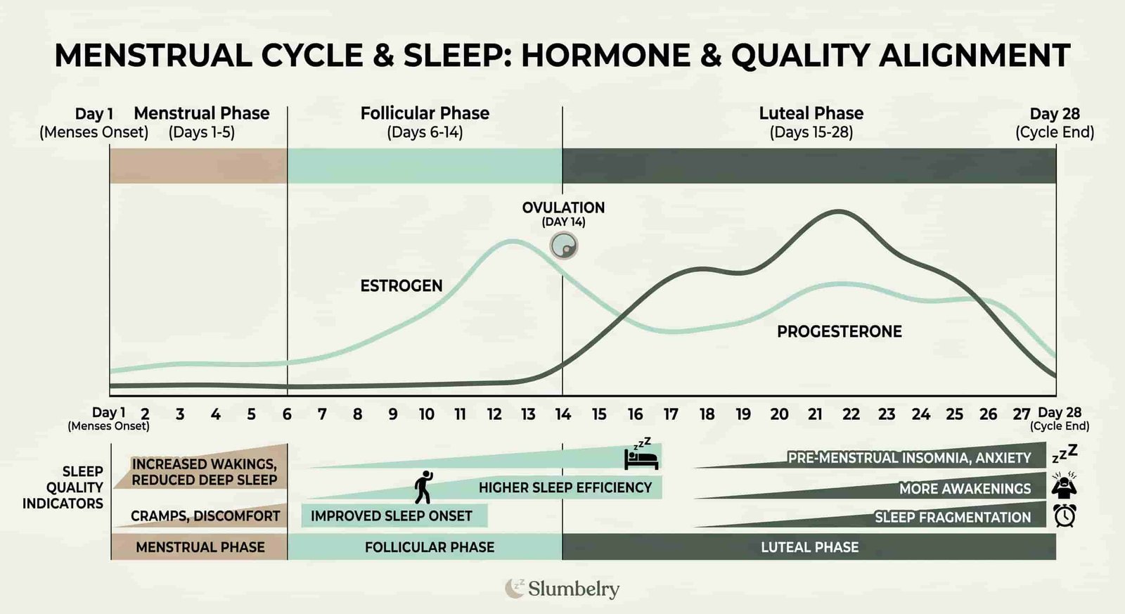 Menstrual cycle hormone graph showing progesterone, estrogen, and sleep quality correlation