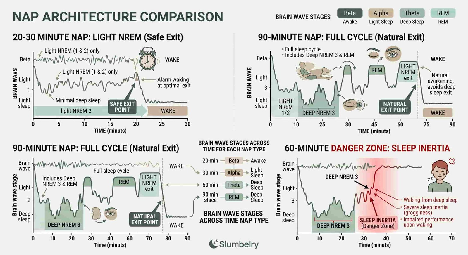Scientific sleep architecture diagram comparing different nap durations: 20-30 minute nap staying in light NREM 1 and 2 sleep only with alarm waking at safe exit point, 90-minute nap completing full cycle light NREM 1 2 to deep NREM 3 to REM to light exit with natural wake, 60-minute danger zone showing waking from deep sleep with sleep inertia marked, hypnogram showing brain wave stages across time for each nap type, annotated medical illustration