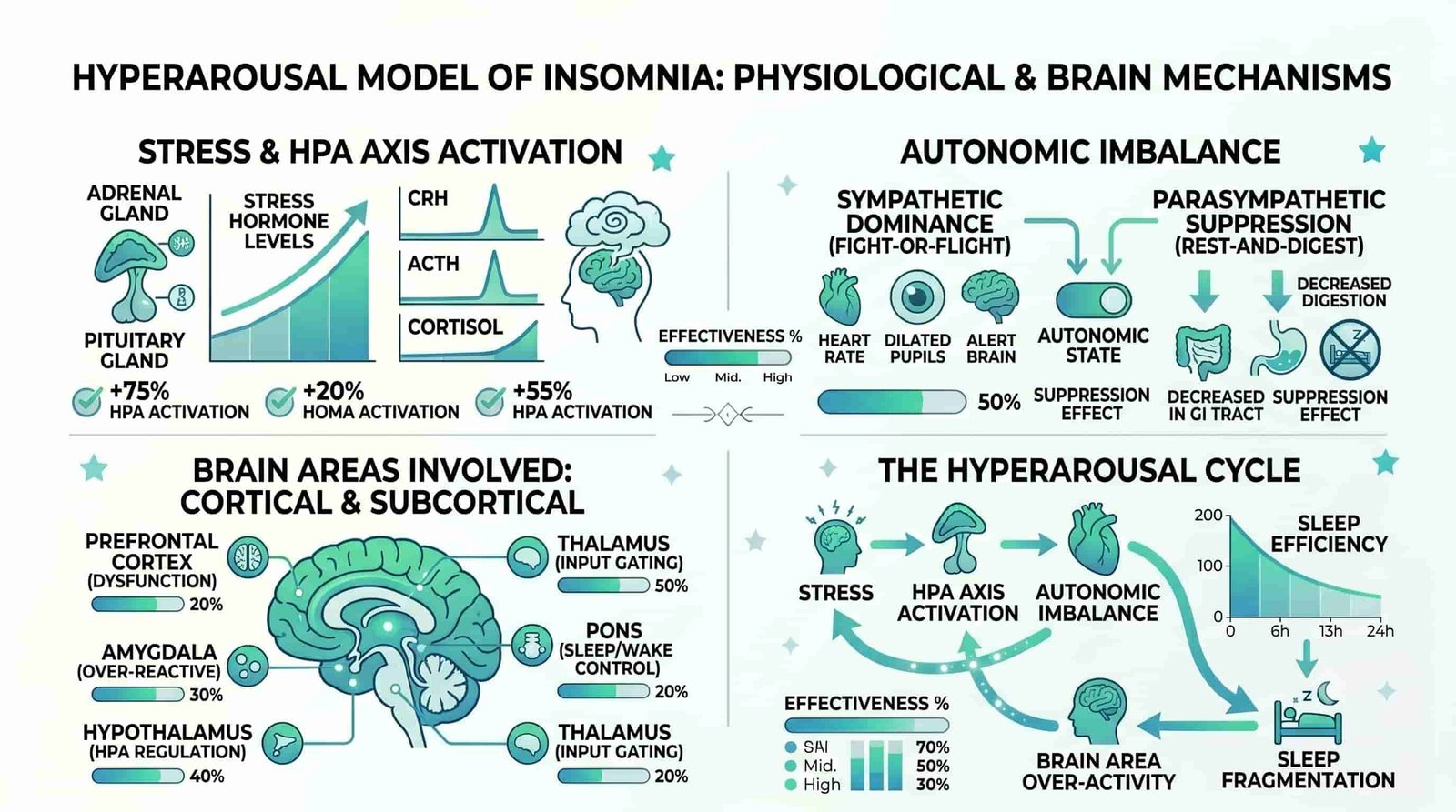 Understanding the Roots of Insomnia: Common Causes and Triggers 8 Hyperarousal model of insomnia infographic: HPA axis CRH-ACTH-cortisol pathway, sympathetic vs parasympathetic dominance during sleep, brain regions involved in sleep-wake dysregulation