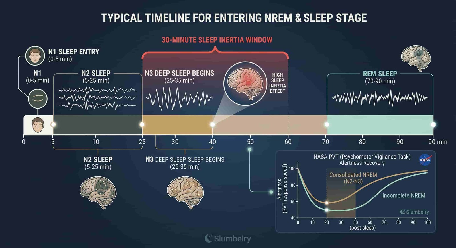 Scientific medical infographic showing NREM sleep stage entry timeline across 60 minutes: N1 at 0-5 min, N2 at 5-25 min, N3 begins at 25-35 min, REM at 70-90 min, with red zone annotation for 30-minute sleep inertia window, NASA PVT alertness recovery data chart, dark blue medical illustration