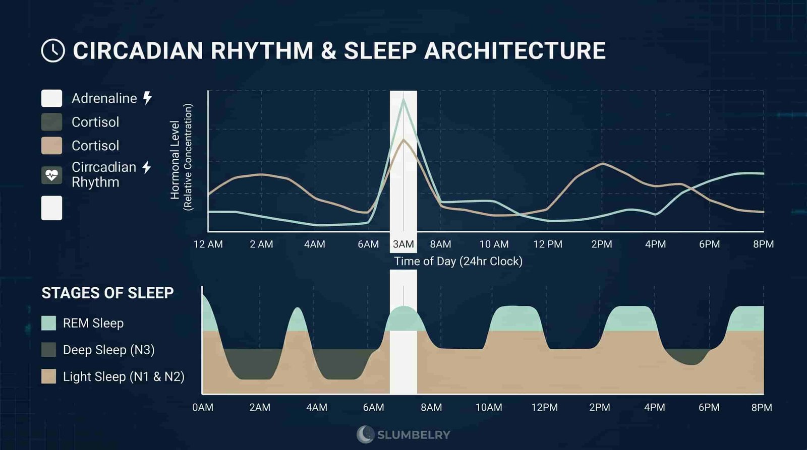 Scientific diagram showing cortisol spike and sleep stages at 3 AM hyperarousal